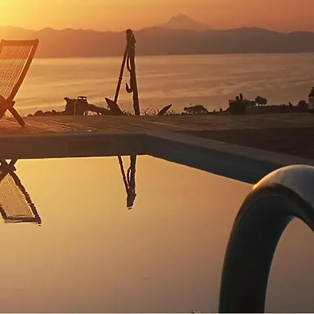 Freebird Vip Bachelor Party & Wedding Events Pefkochori