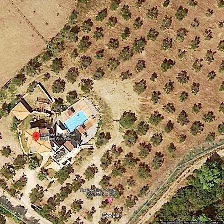 Freebird - Exclusive Vip Wedding & Bachelor Events