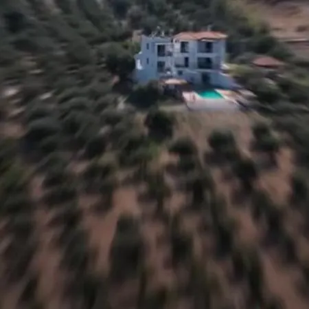 Villa Freebird - Vip Wedding & Bachelor Events *