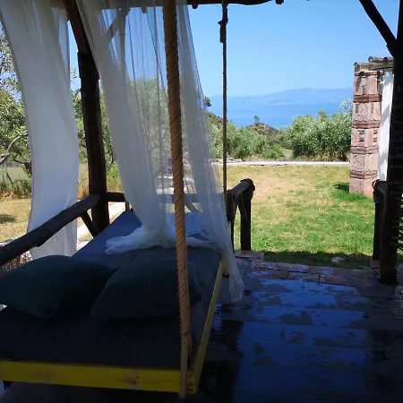 Freebird - Exclusive Vip Wedding & Bachelor Events